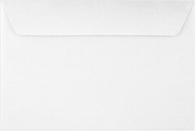 6 x 9 Booklet Envelopes