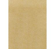 8 1/2 x 11 Cardstock