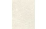 8 1/2 x 11 Paper Cream Parchment