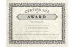 8 1/2 x 11 Certificate Cream Parchment - Award