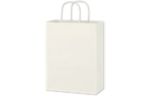 Paper Shopping Bag (10 x 13) (Flexography) White