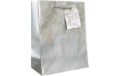 Medium Gift Bag (10 x 8 x 4)