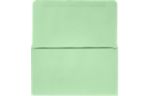 6 1/4 Remittance Envelope (3 1/2 x 6 Closed) Pastel Green