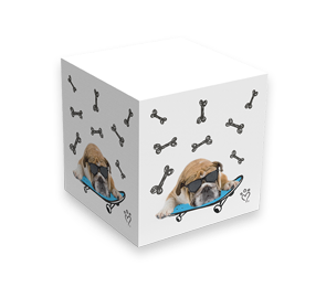 Note Cubes | Envelopes.com